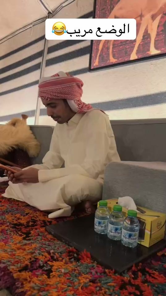 TikTok video thumbnail by taljbli