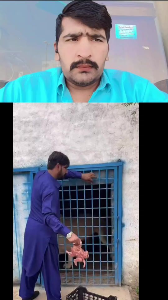 TikTok video thumbnail by sethbaba10