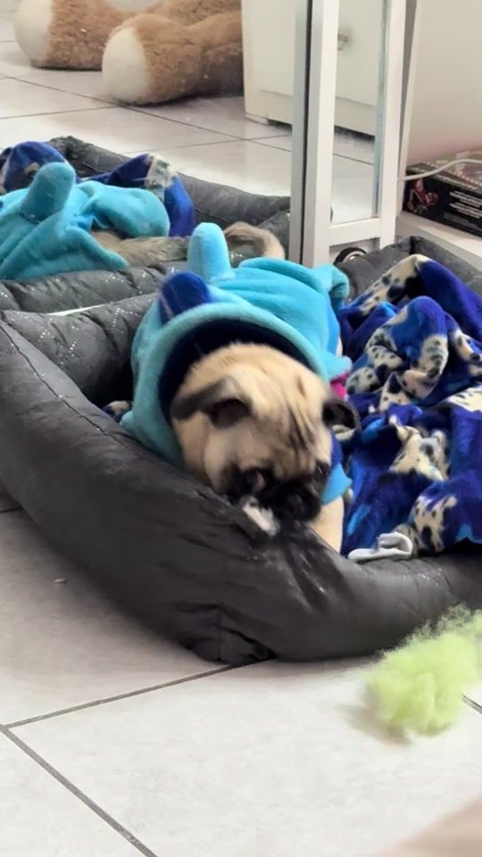 TikTok video thumbnail by lyrica_s.4