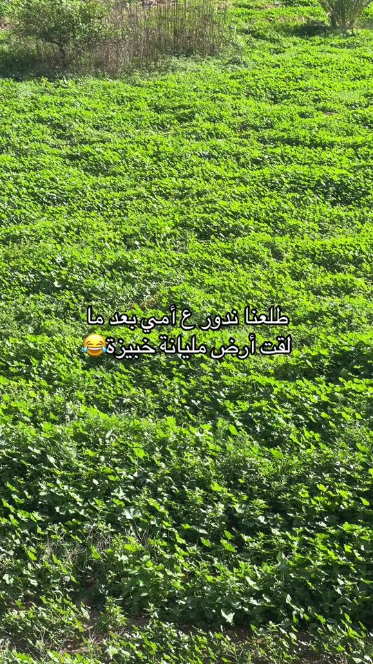 TikTok video thumbnail by tabark.yaseen1