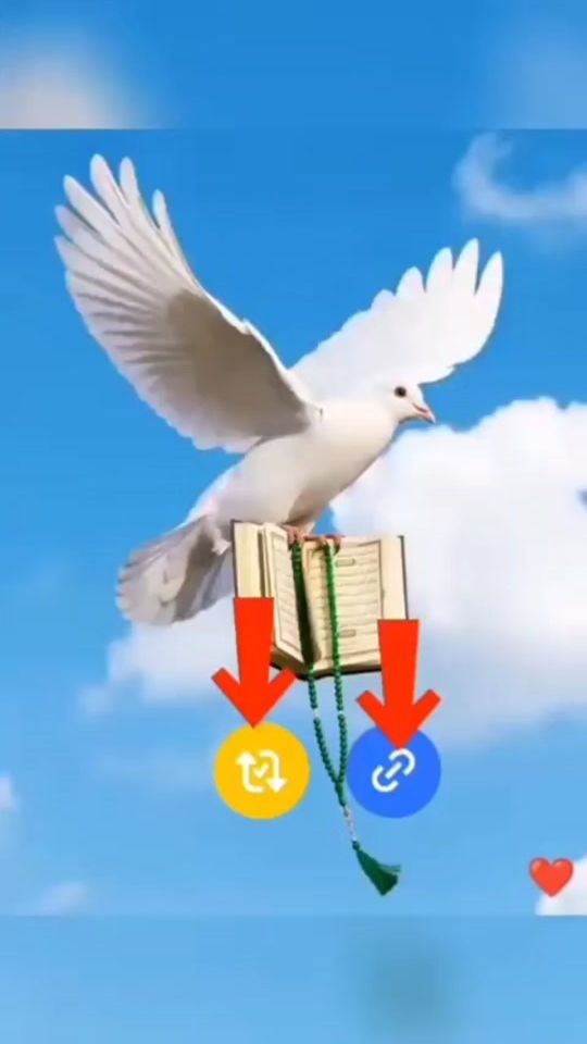 TikTok video thumbnail by jannat.islam0613