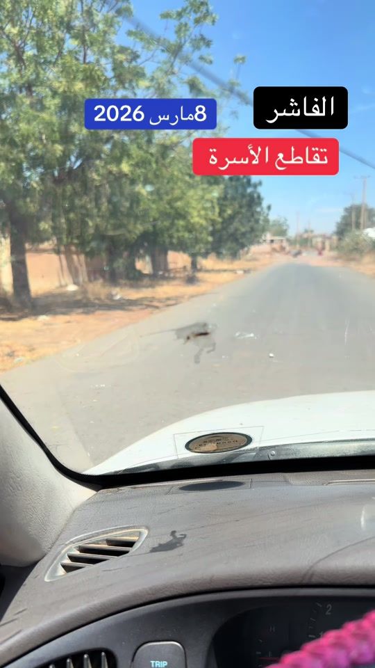 TikTok video thumbnail by algaed29