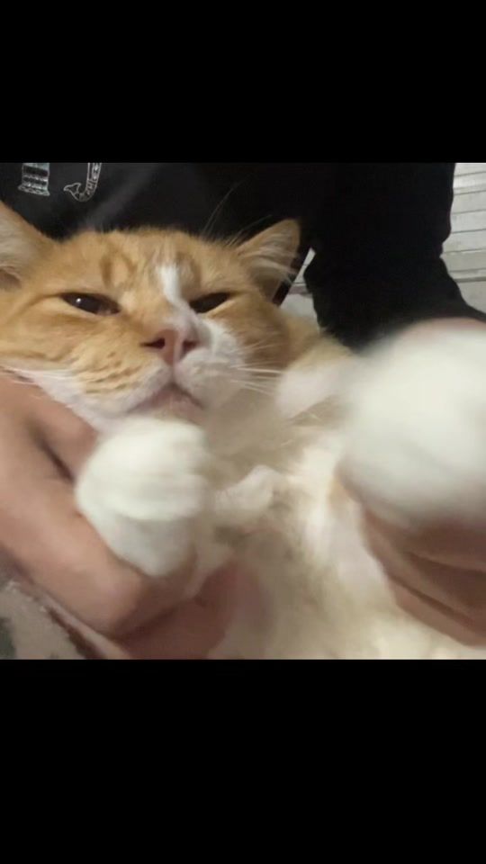 TikTok video thumbnail by im.maifer