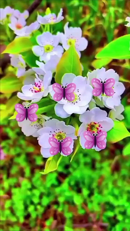 TikTok video thumbnail by mdsefat.5916