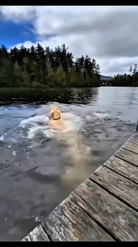 TikTok video thumbnail by kazagrande_2