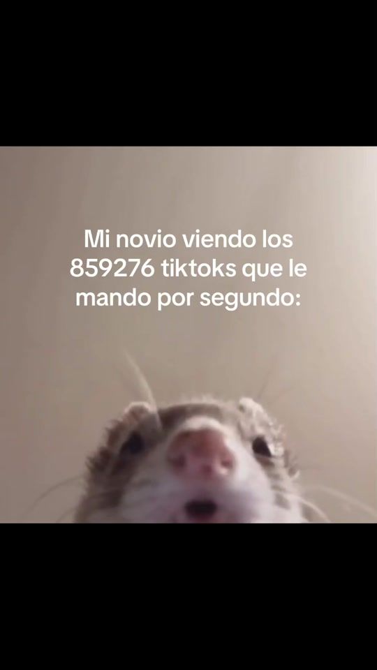 TikTok video thumbnail by xav1.mv