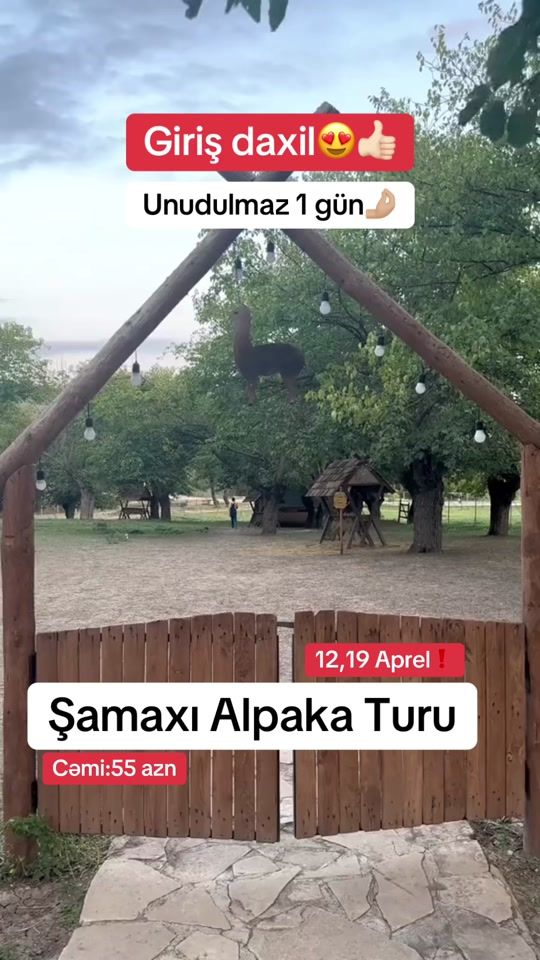 TikTok video thumbnail by gold.travel.az