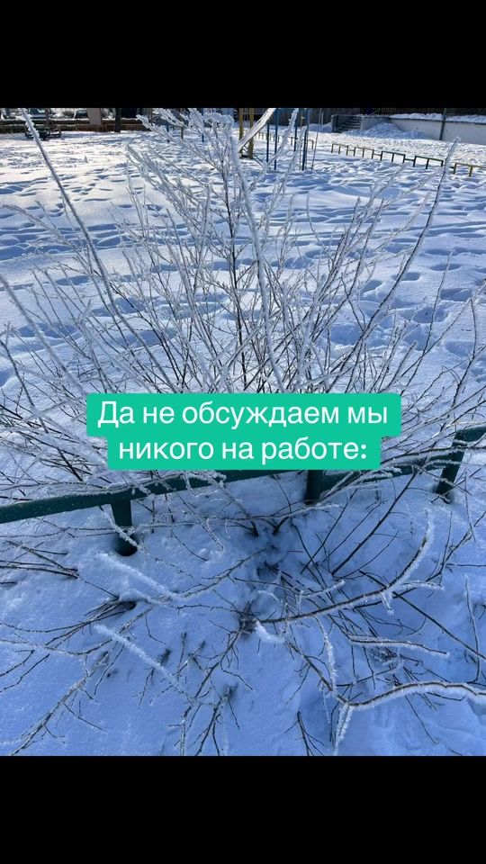 TikTok video thumbnail by vitek_507