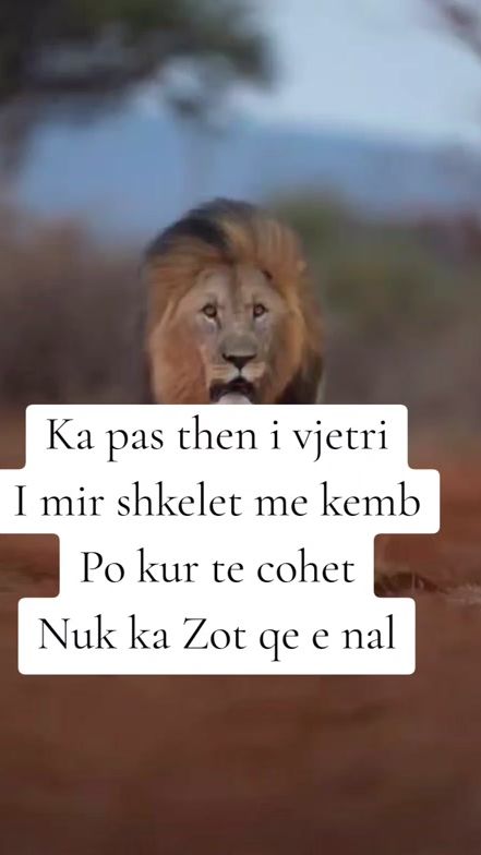 TikTok video thumbnail by thanje.per.jeten