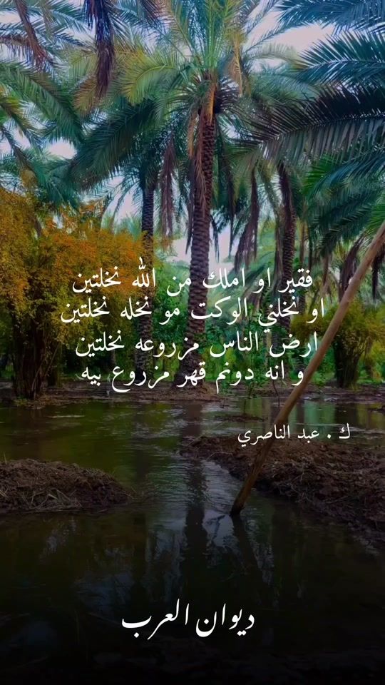 TikTok video thumbnail by albadwi_14