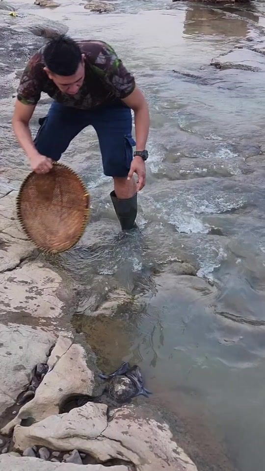 TikTok video thumbnail by malvinasbharaduta