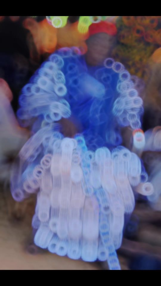 TikTok video thumbnail by dbone6513