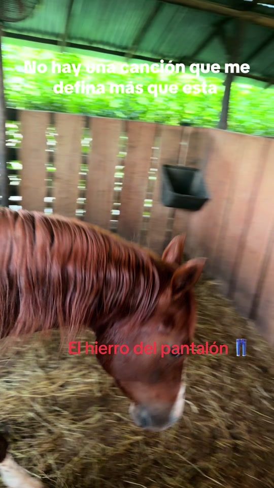 TikTok video thumbnail by gregoriojimenez382