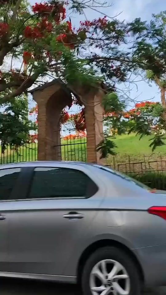 TikTok video thumbnail by __jannah8