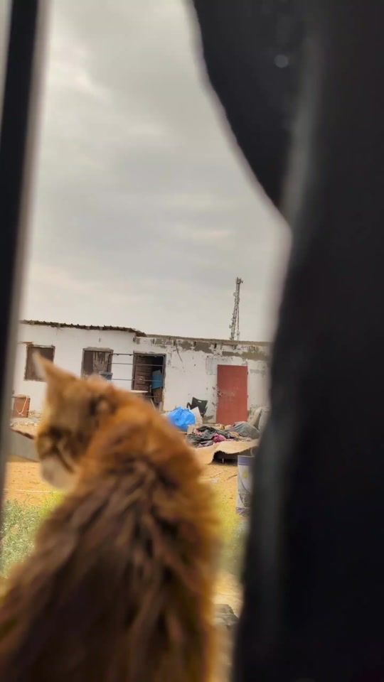 TikTok video thumbnail by 0zy_
