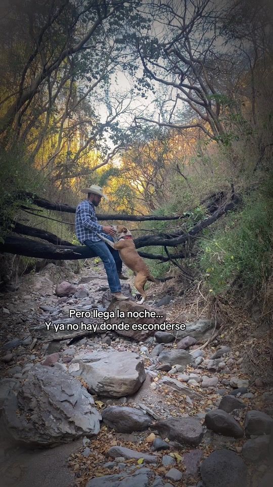 TikTok video thumbnail by carlos_edward3