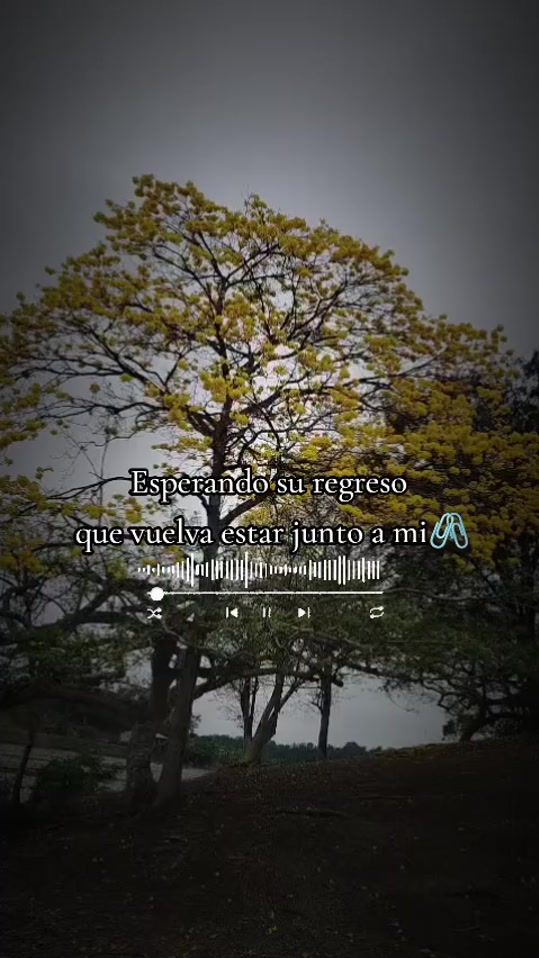 TikTok video thumbnail by fernanda.k98