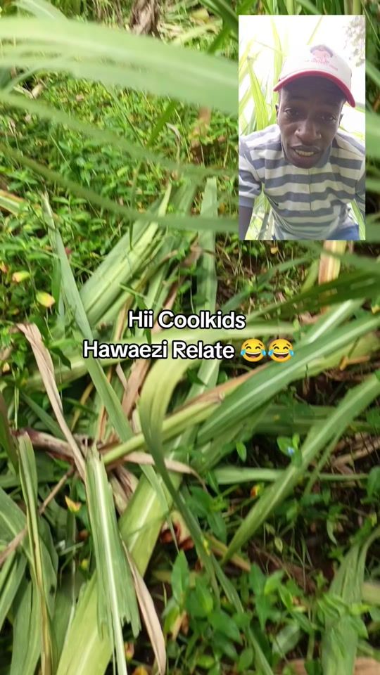TikTok video thumbnail by frank_obweezy