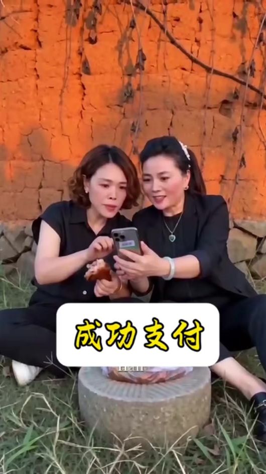 TikTok video thumbnail by user_lisalai720221