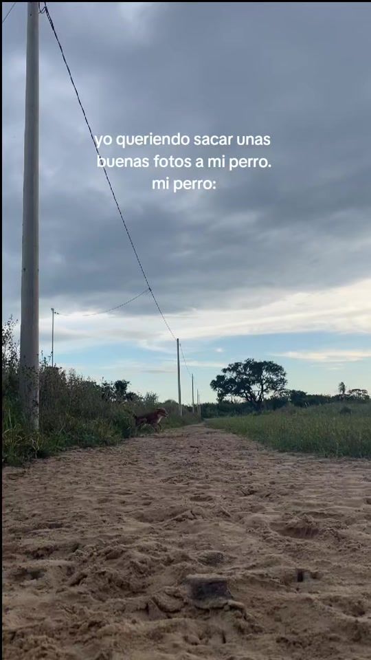 TikTok video thumbnail by mirandanilfaf