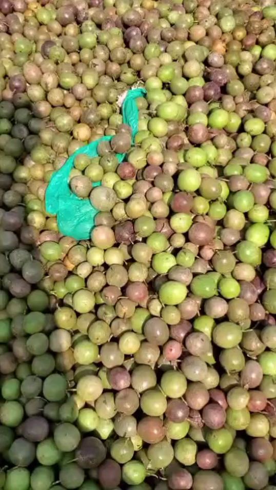 TikTok video thumbnail by samistar012