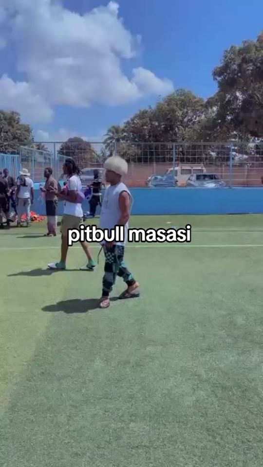 TikTok video thumbnail by masasi.namaboko