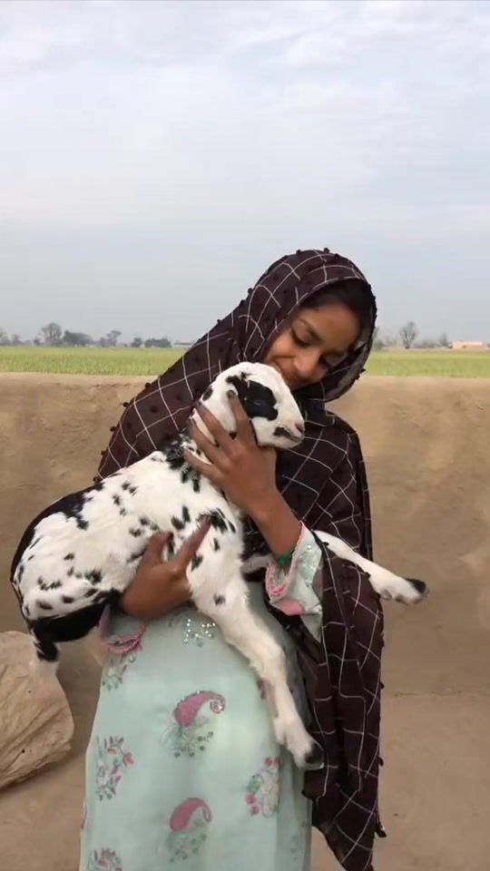 TikTok video thumbnail by chalishba34