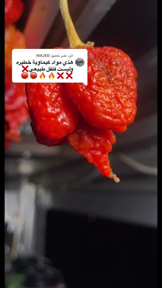 TikTok video thumbnail by atb2002