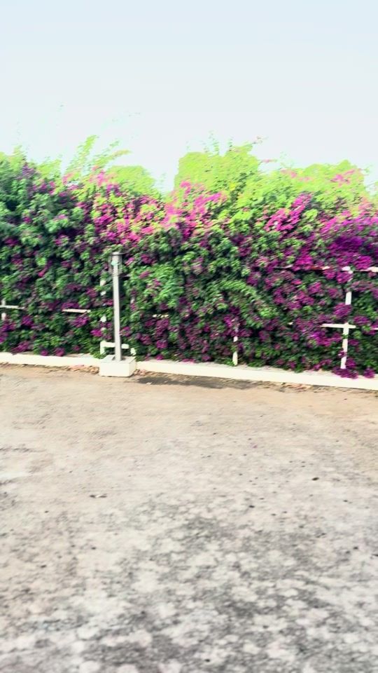TikTok video thumbnail by awaloutima
