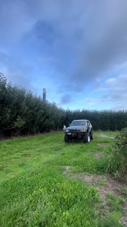 TikTok video thumbnail by harper.4wding