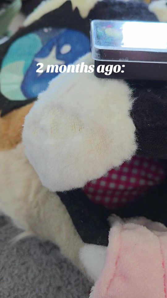 TikTok video thumbnail by pigface.creations
