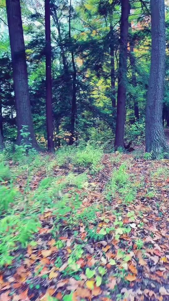 TikTok video thumbnail by yourmindset.motivation