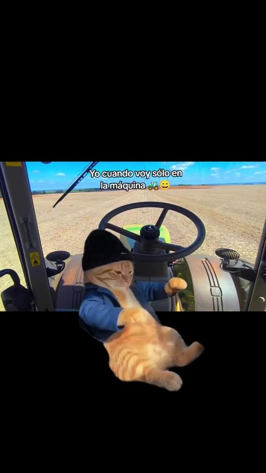 TikTok video thumbnail by miguel.py2