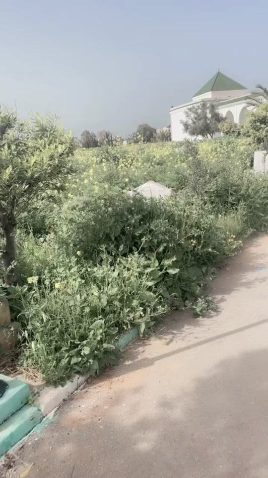 TikTok video thumbnail by omaima.elmir