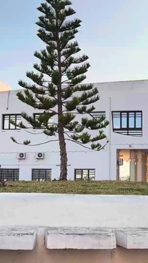 TikTok video thumbnail by rouacherif04