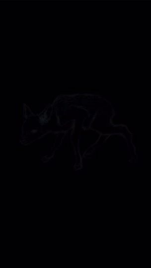 TikTok video thumbnail by trichomactic_rabbit