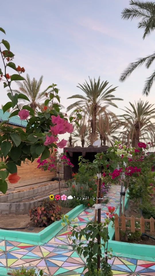 TikTok video thumbnail by ut_ksa