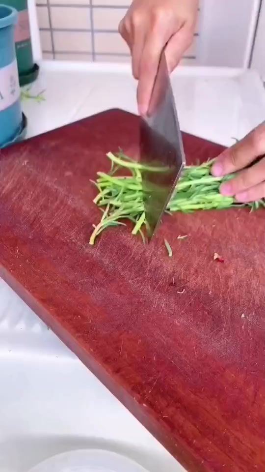 TikTok video thumbnail by newgardens1965