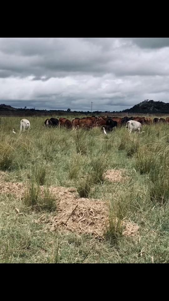 TikTok video thumbnail by rue_hashaa