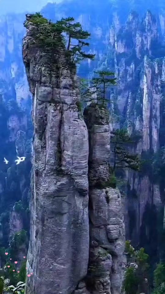 TikTok video thumbnail by saifon_.fon