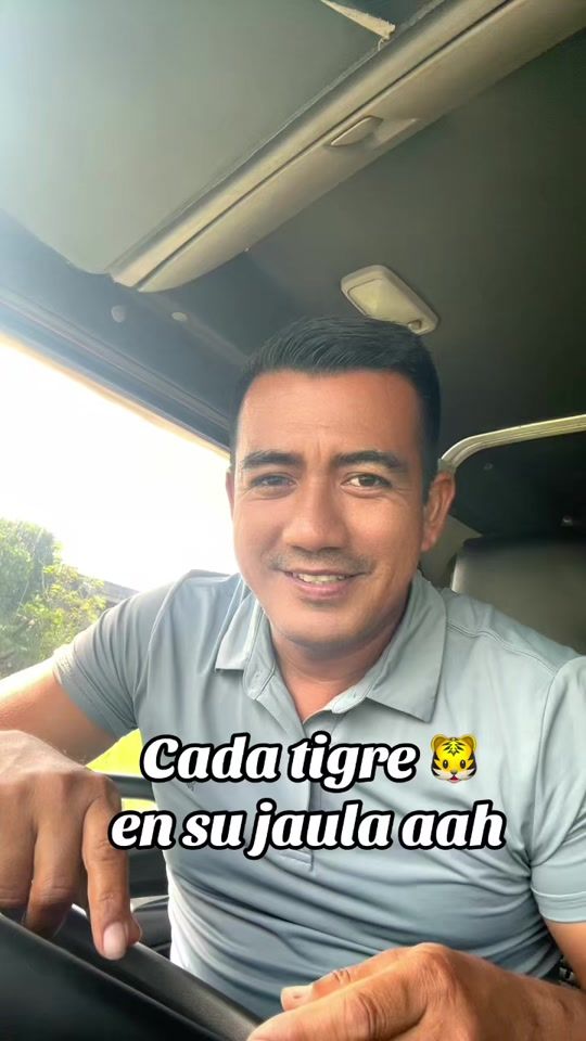 TikTok video thumbnail by pechotigre