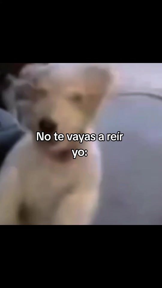 TikTok video thumbnail by bull.mex