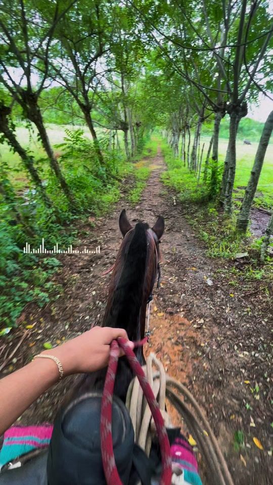 TikTok video thumbnail by vaquerito.espino43