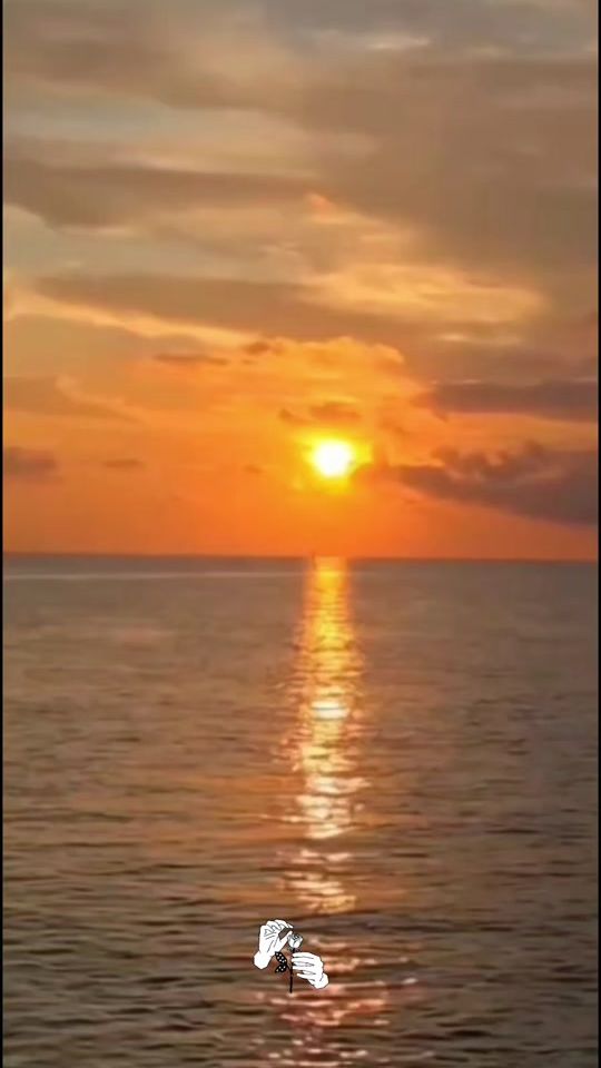 TikTok video thumbnail by sunflowergal84