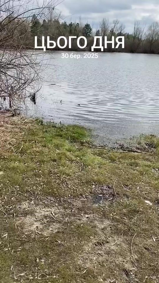 TikTok video thumbnail by moiseenkovova