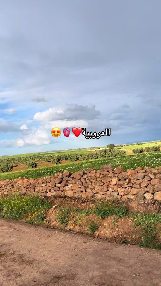 TikTok video thumbnail by rayhanastore6