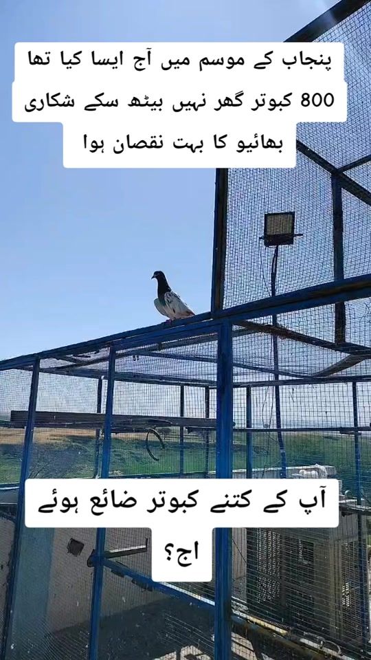 TikTok video thumbnail by jatt.sab7225