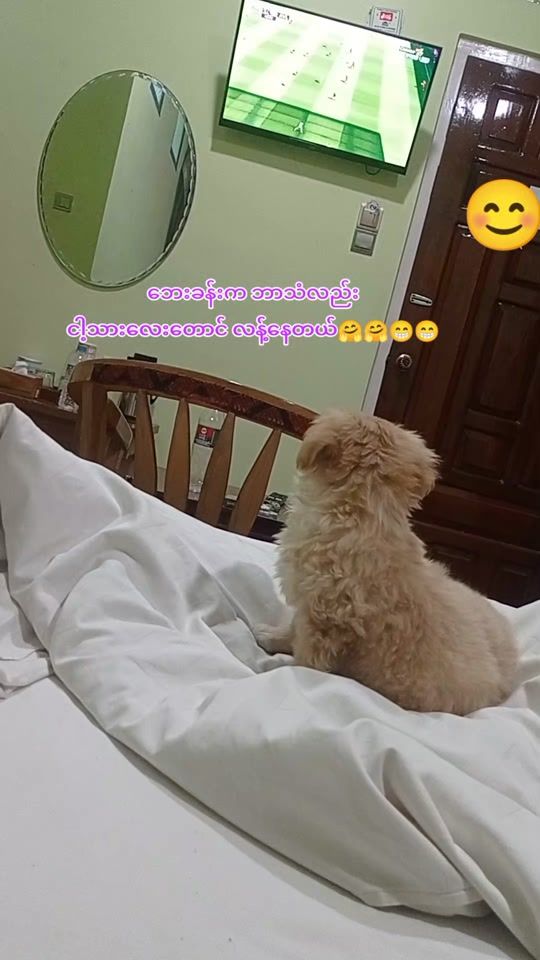 TikTok video thumbnail by m..t5259