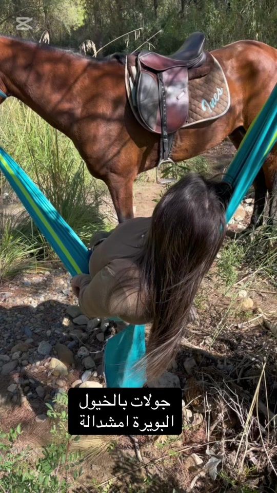TikTok video thumbnail by le.cavalier.10