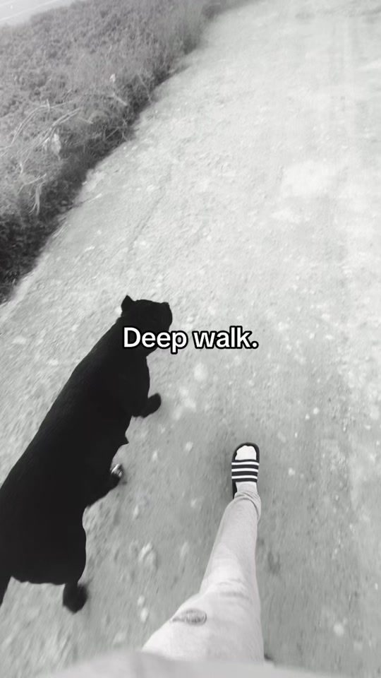 TikTok video thumbnail by mahitta23